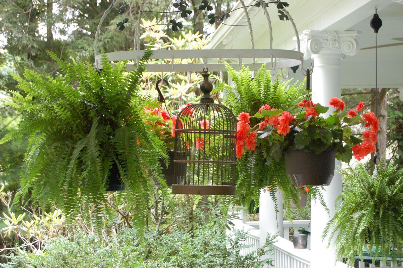 Mountain Laurel Inn Damascus Bagian luar foto